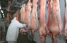 Nga tăng nhập khẩu thịt của Brazil